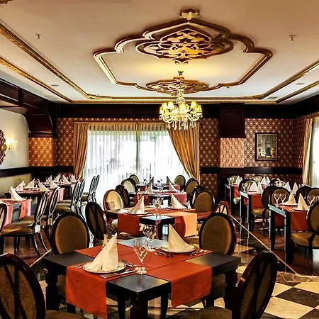 Adalya Bliss (adults Only) Sidé